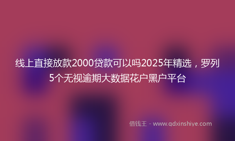线上直接放款2000贷款可以吗2025年精选，罗列5个无视逾期大数据花户黑户平台