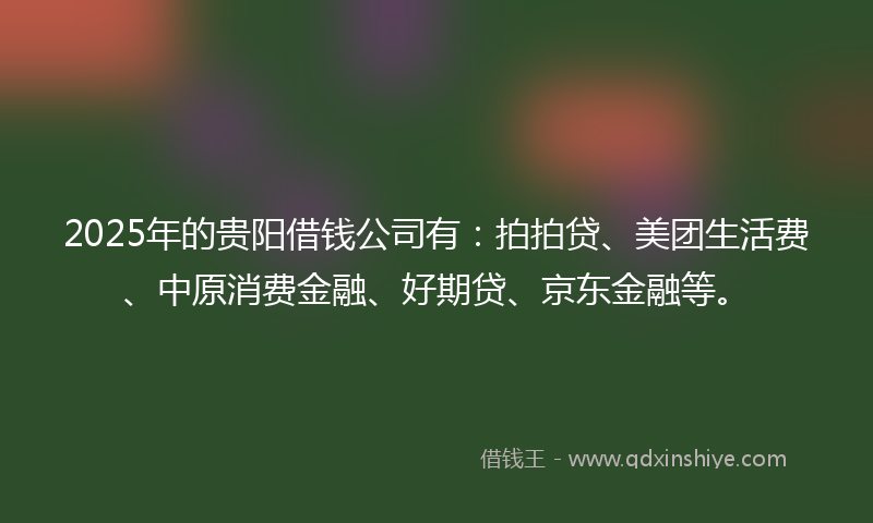 2025年的贵阳借钱公司有：拍拍贷、美团生活费、中原消费金融、好期贷、京东金融等。