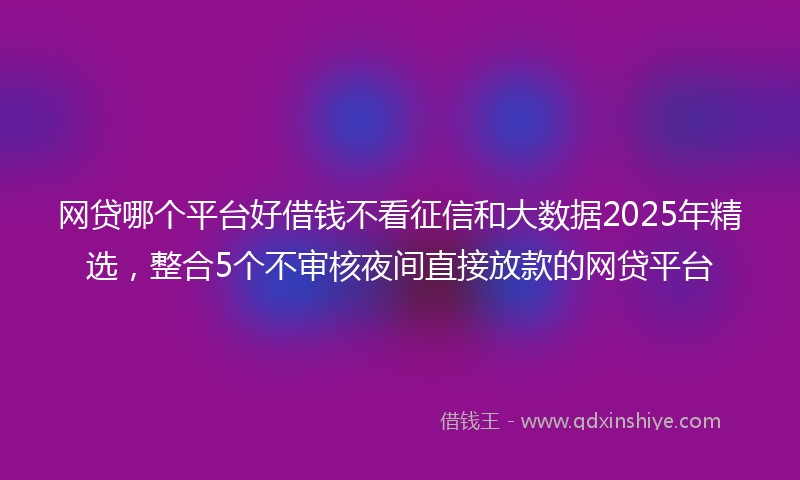 网贷哪个平台好借钱不看征信和大数据2025年精选，整合5个不审核夜间直接放款的网贷平台