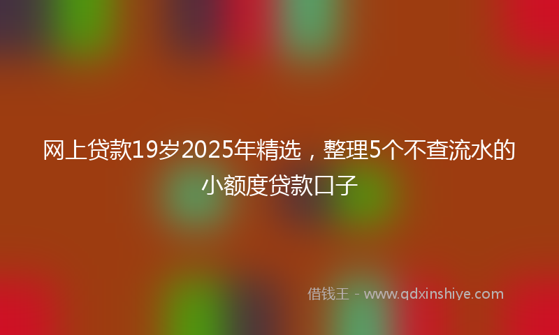 网上贷款19岁2025年精选，整理5个不查流水的小额度贷款口子