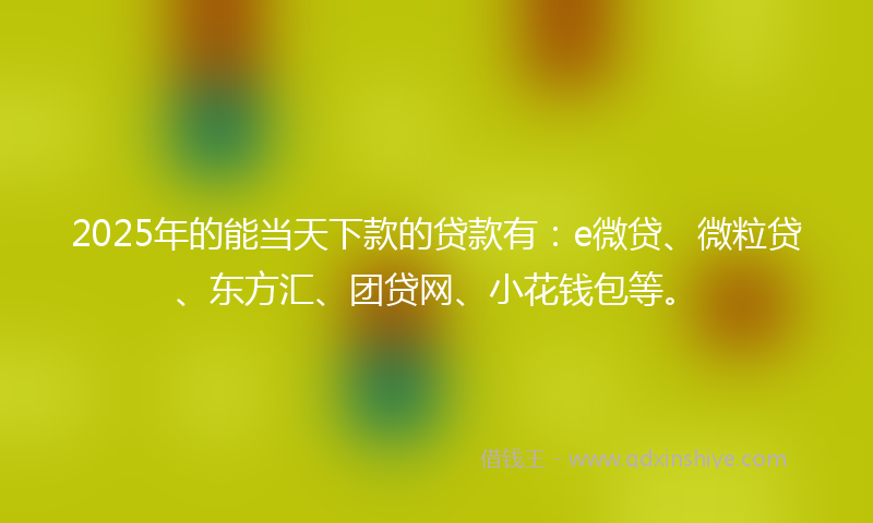 2025年的能当天下款的贷款有：e微贷、微粒贷、东方汇、团贷网、小花钱包等。