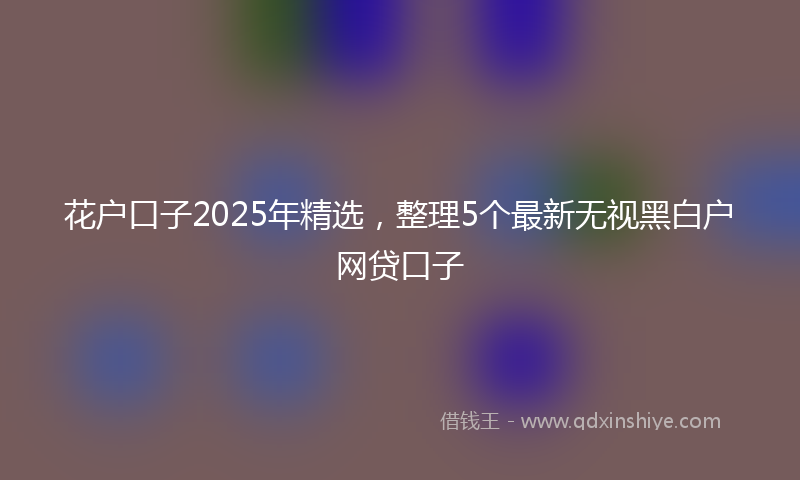 花户口子2025年精选，整理5个最新无视黑白户网贷口子