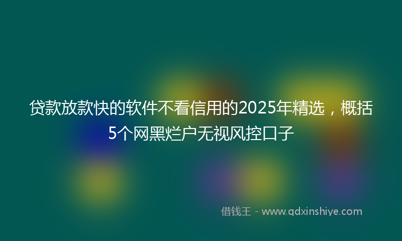 贷款放款快的软件不看信用的2025年精选，概括5个网黑烂户无视风控口子