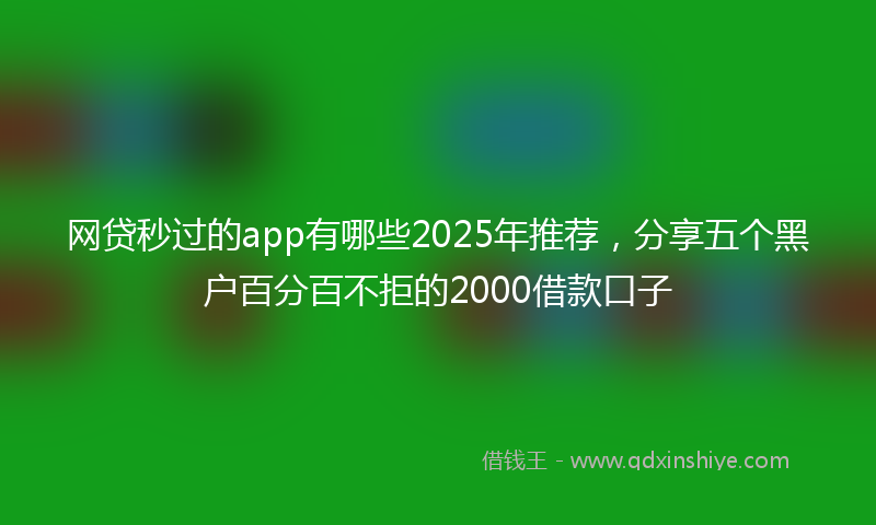 网贷秒过的app有哪些2025年推荐，分享五个黑户百分百不拒的2000借款口子