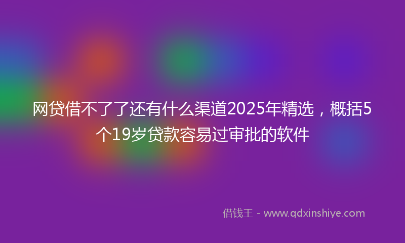 网贷借不了了还有什么渠道2025年精选，概括5个19岁贷款容易过审批的软件