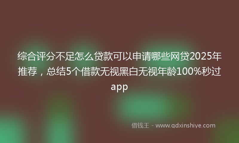 综合评分不足怎么贷款可以申请哪些网贷2025年推荐，总结5个借款无视黑白无视年龄100%秒过app