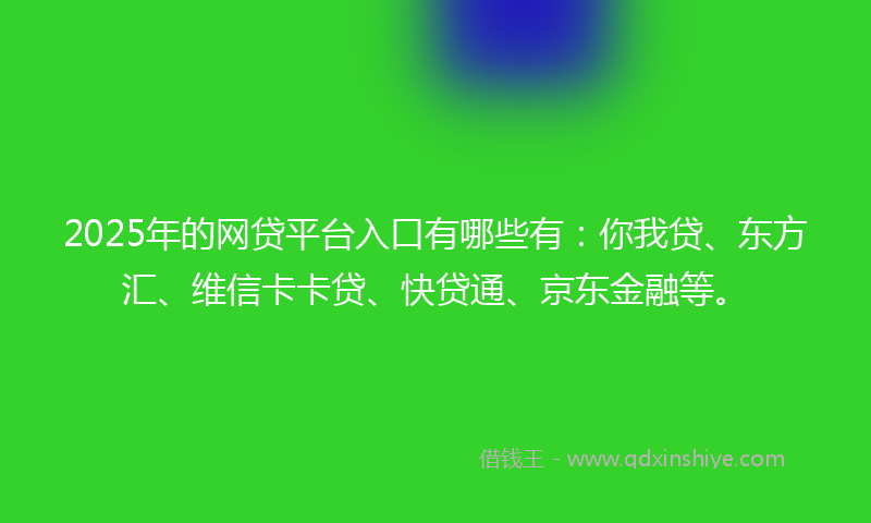 2025年的网贷平台入口有哪些有：你我贷、东方汇、维信卡卡贷、快贷通、京东金融等。