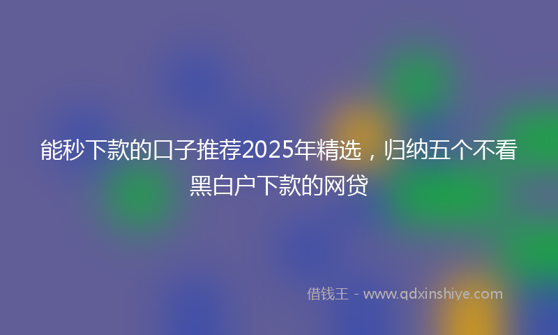 能秒下款的口子推荐2025年精选，归纳五个不看黑白户下款的网贷