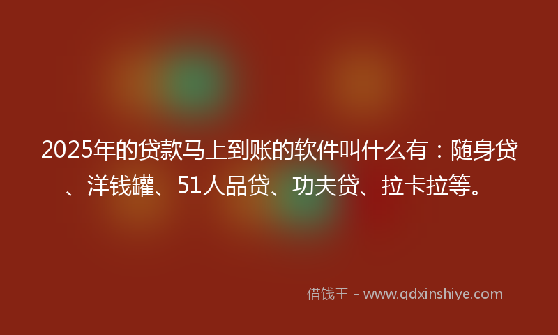 2025年的贷款马上到账的软件叫什么有：随身贷、洋钱罐、51人品贷、功夫贷、拉卡拉等。