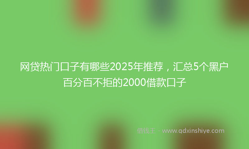 网贷热门口子有哪些2025年推荐，汇总5个黑户百分百不拒的2000借款口子