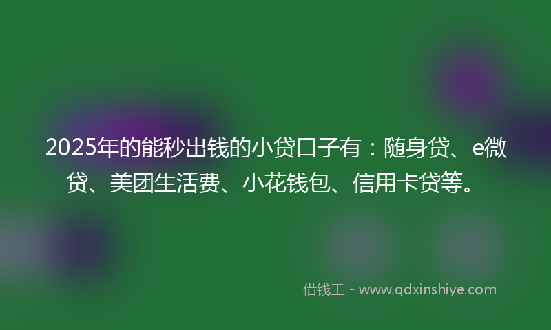 2025年的能秒出钱的小贷口子有：随身贷、e微贷、美团生活费、小花钱包、信用卡贷等。