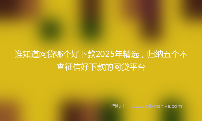 谁知道网贷哪个好下款2025年精选，归纳五个不查征信好下款的网贷平台