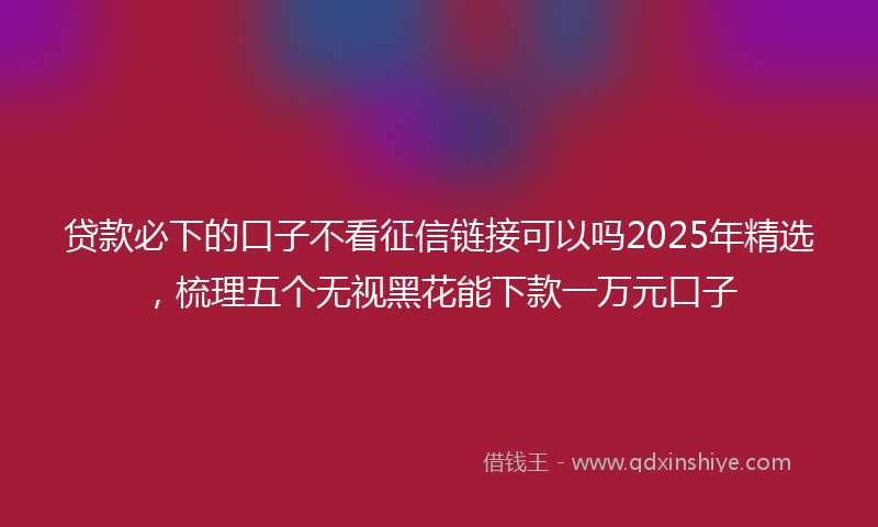 贷款必下的口子不看征信链接可以吗2025年精选，梳理五个无视黑花能下款一万元口子