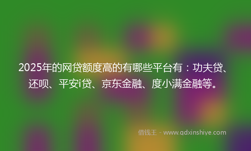 2025年的网贷额度高的有哪些平台有：功夫贷、还呗、平安i贷、京东金融、度小满金融等。