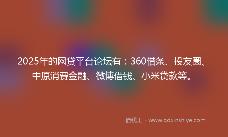 2025年的网贷平台论坛有：360借条、投友圈、中原消费金融、微博借钱、小米贷款等。