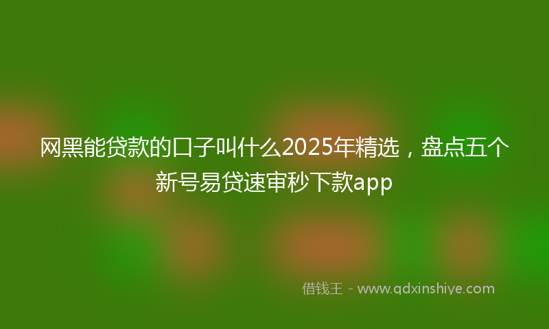 网黑能贷款的口子叫什么2025年精选，盘点五个新号易贷速审秒下款app