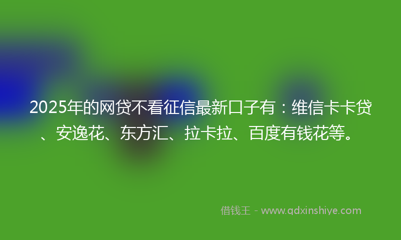 2025年的网贷不看征信最新口子有：维信卡卡贷、安逸花、东方汇、拉卡拉、百度有钱花等。