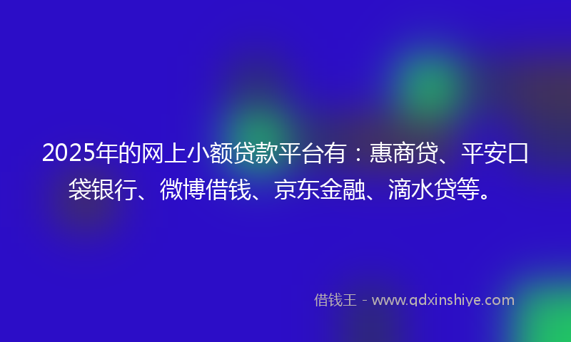 2025年的网上小额贷款平台有：惠商贷、平安口袋银行、微博借钱、京东金融、滴水贷等。