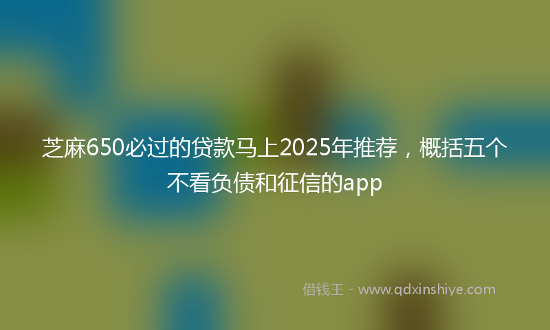 芝麻650必过的贷款马上2025年推荐，概括五个不看负债和征信的app