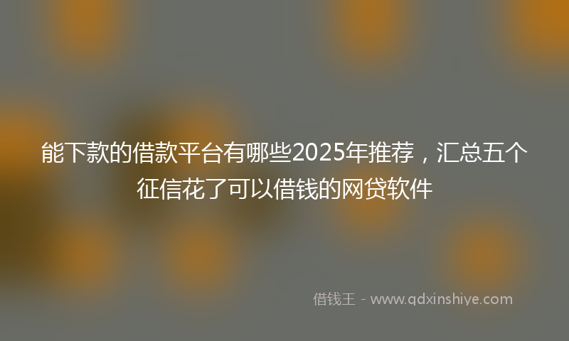 能下款的借款平台有哪些2025年推荐，汇总五个征信花了可以借钱的网贷软件