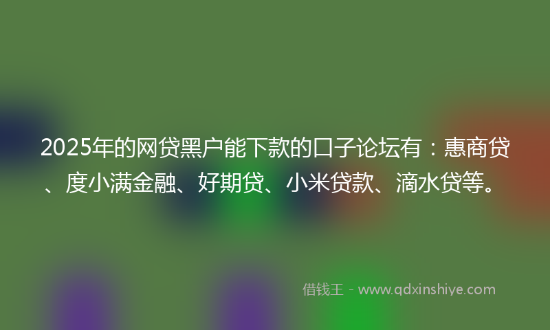 2025年的网贷黑户能下款的口子论坛有：惠商贷、度小满金融、好期贷、小米贷款、滴水贷等。