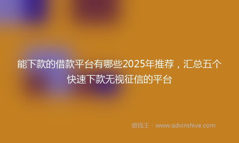 能下款的借款平台有哪些2025年推荐，汇总五个快速下款无视征信的平台