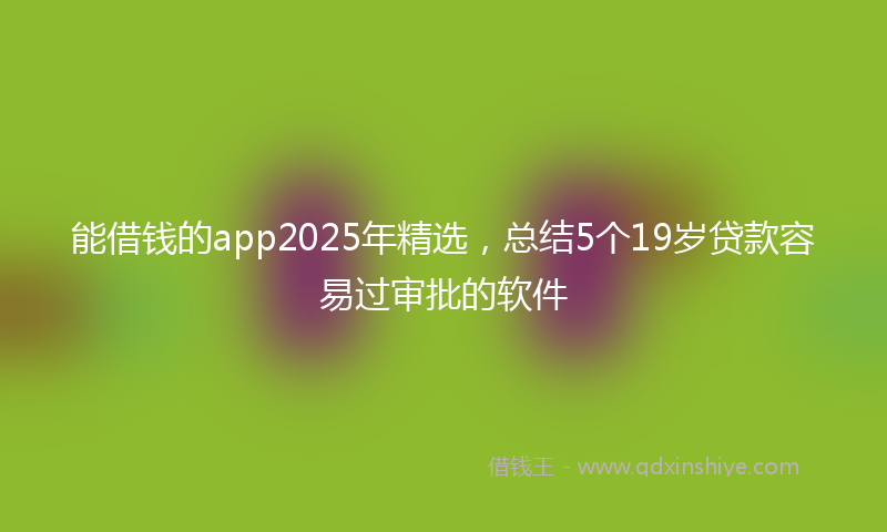 能借钱的app2025年精选，总结5个19岁贷款容易过审批的软件