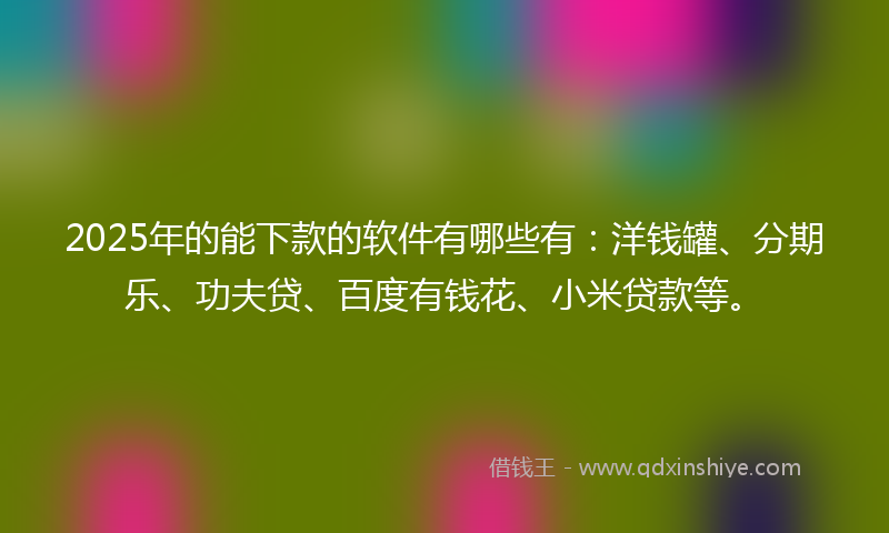 2025年的能下款的软件有哪些有：洋钱罐、分期乐、功夫贷、百度有钱花、小米贷款等。