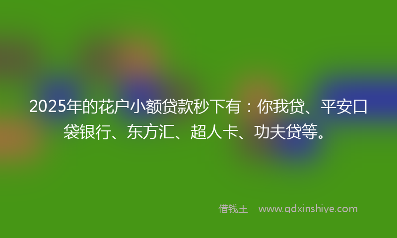 2025年的花户小额贷款秒下有：你我贷、平安口袋银行、东方汇、超人卡、功夫贷等。