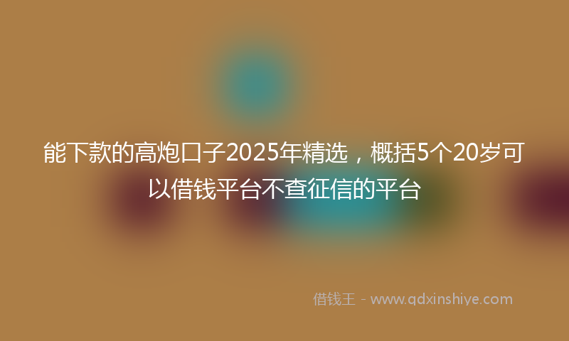 能下款的高炮口子2025年精选，概括5个20岁可以借钱平台不查征信的平台