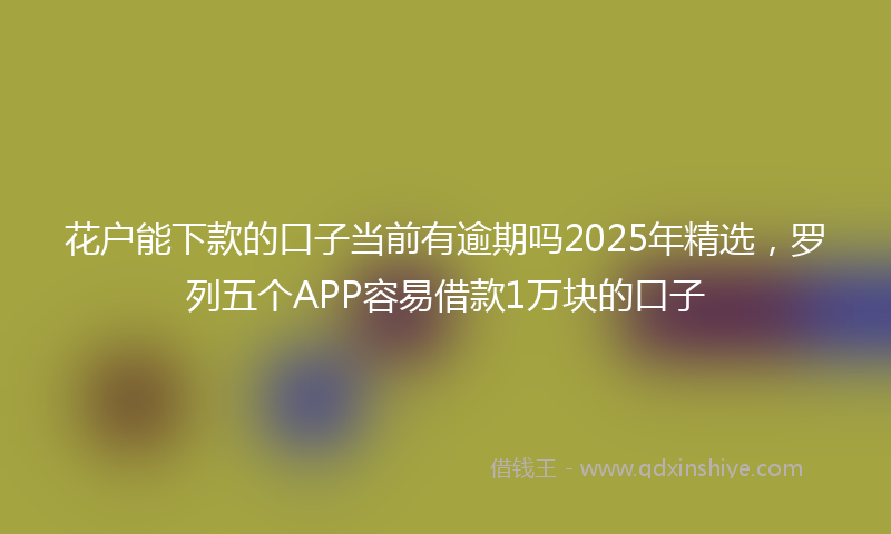 花户能下款的口子当前有逾期吗2025年精选，罗列五个APP容易借款1万块的口子