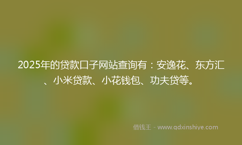 2025年的贷款口子网站查询有：安逸花、东方汇、小米贷款、小花钱包、功夫贷等。