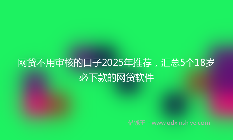 网贷不用审核的口子2025年推荐，汇总5个18岁必下款的网贷软件
