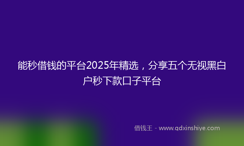 能秒借钱的平台2025年精选，分享五个无视黑白户秒下款口子平台