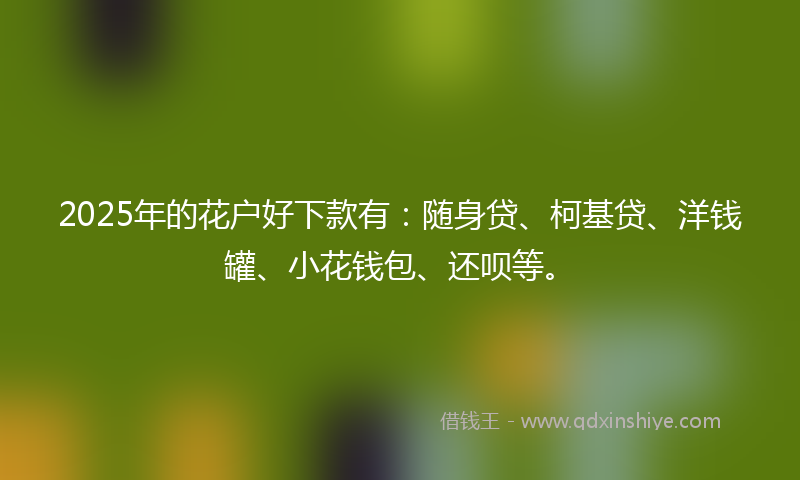 2025年的花户好下款有：随身贷、柯基贷、洋钱罐、小花钱包、还呗等。