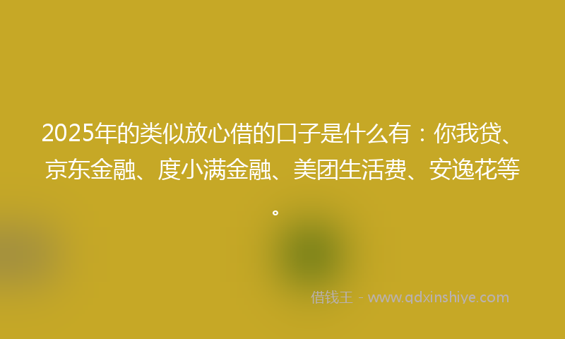 2025年的类似放心借的口子是什么有：你我贷、京东金融、度小满金融、美团生活费、安逸花等。