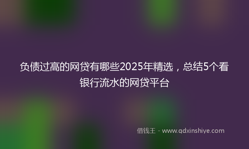 负债过高的网贷有哪些2025年精选，总结5个看银行流水的网贷平台