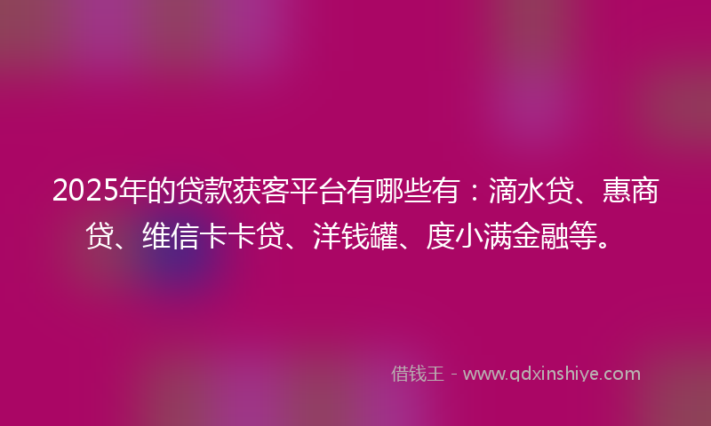 2025年的贷款获客平台有哪些有：滴水贷、惠商贷、维信卡卡贷、洋钱罐、度小满金融等。