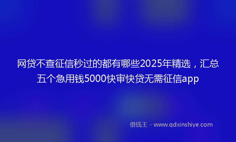 网贷不查征信秒过的都有哪些2025年精选，汇总五个急用钱5000快审快贷无需征信app