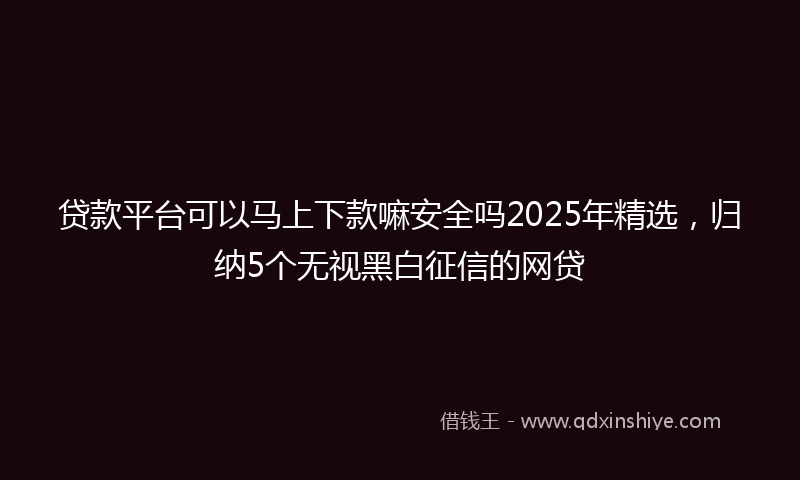 贷款平台可以马上下款嘛安全吗2025年精选，归纳5个无视黑白征信的网贷