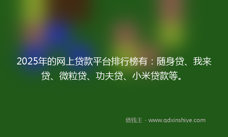 2025年的网上贷款平台排行榜有：随身贷、我来贷、微粒贷、功夫贷、小米贷款等。