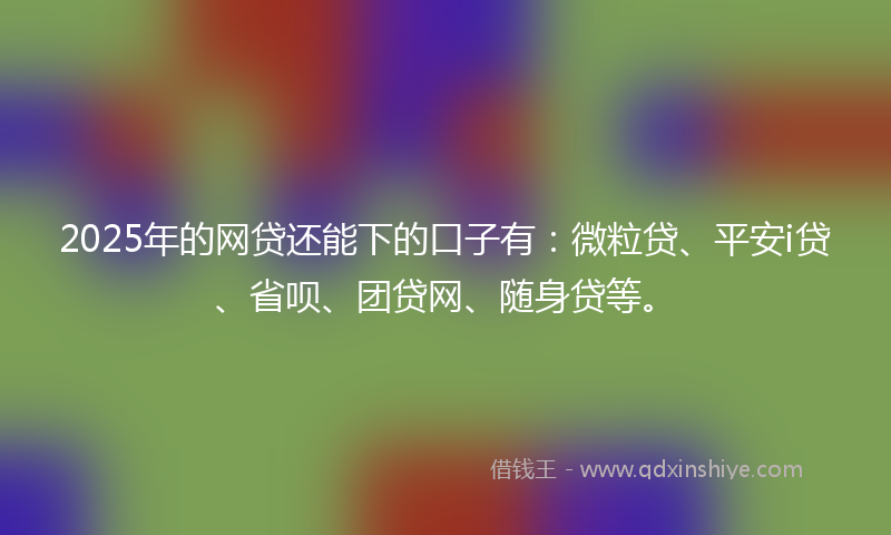 2025年的网贷还能下的口子有：微粒贷、平安i贷、省呗、团贷网、随身贷等。