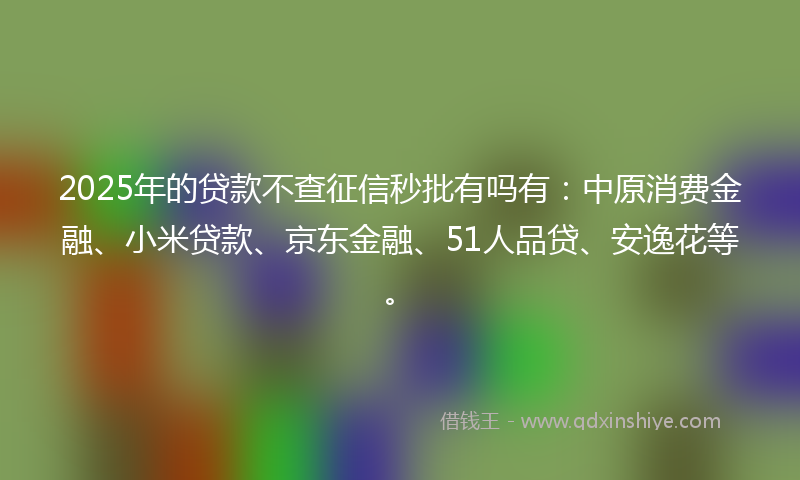 2025年的贷款不查征信秒批有吗有：中原消费金融、小米贷款、京东金融、51人品贷、安逸花等。