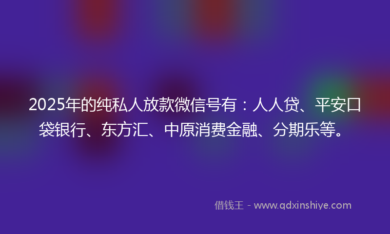 2025年的纯私人放款微信号有：人人贷、平安口袋银行、东方汇、中原消费金融、分期乐等。
