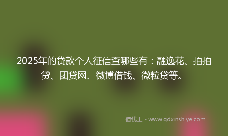 2025年的贷款个人征信查哪些有：融逸花、拍拍贷、团贷网、微博借钱、微粒贷等。