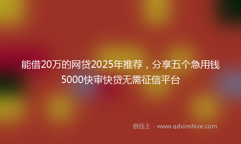 能借20万的网贷2025年推荐，分享五个急用钱5000快审快贷无需征信平台