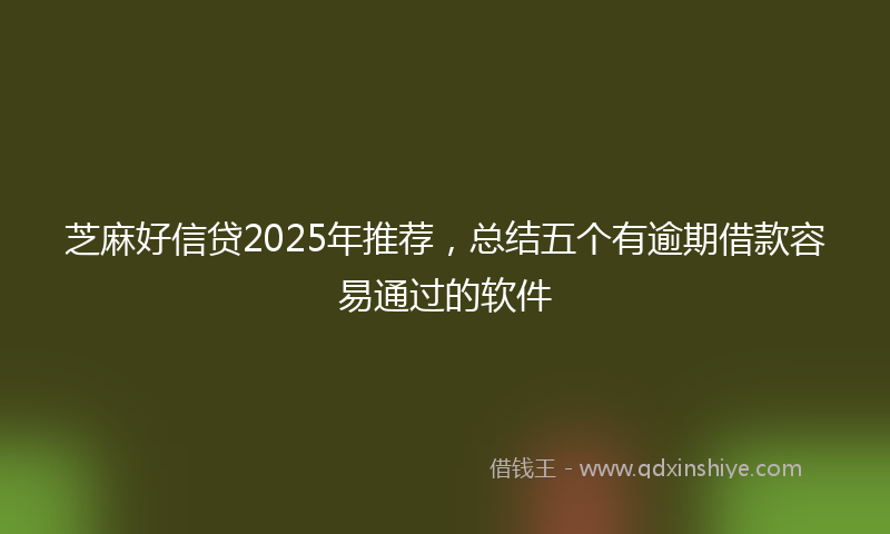 芝麻好信贷2025年推荐，总结五个有逾期借款容易通过的软件