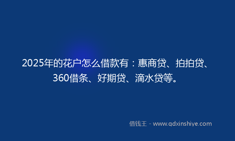 2025年的花户怎么借款有：惠商贷、拍拍贷、360借条、好期贷、滴水贷等。