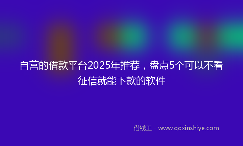自营的借款平台2025年推荐，盘点5个可以不看征信就能下款的软件