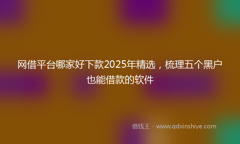 网借平台哪家好下款2025年精选，梳理五个黑户也能借款的软件